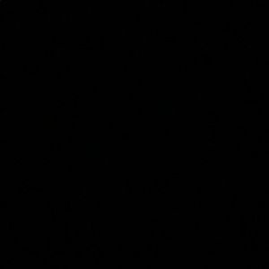 Meet your Posher, Shane